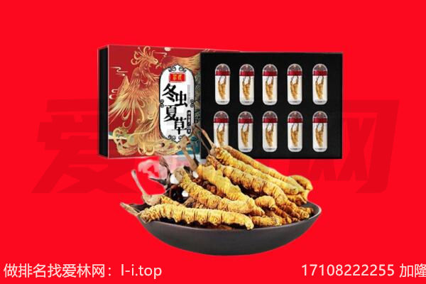 泸水市回收虫草.jpg